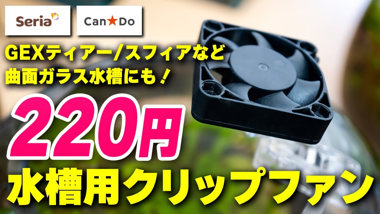 最安200円！曲面ガラスのボトルアクアに使える水槽用ファンをセリア・キャンドゥで自作する #アクアリウム #熱帯魚 #100均 【ビバアクア】
