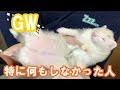 【GW】でも結構幸せ　フェレットフクともちおの成長日記　FERRET　GROWTH　DIARY