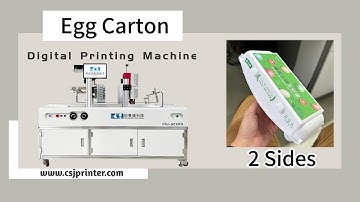 digital printing machine for egg cartons 2 sides one pass printer