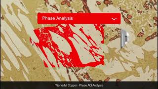 iWorks Imaging Analysis Software for Microscopy.