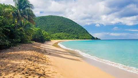 Guadeloupe (modular synth) [Mutable Instruments Rings, Plaits, Clouds, Marbles]