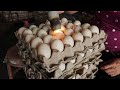 TELUR MASIN KUALA KURAU PERAK | How It's Made - Salted Egg