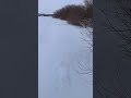 Рыбалка на вибы. Щука, судак. Приманки на которые клюет. #fishing