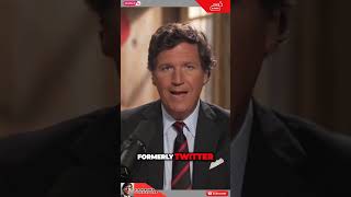 Unmasking the Controversial Cat Turd: The Internet's Astonishing Power Content