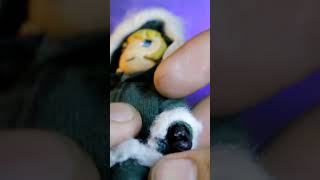 Custom Yuuri Action Figure from Girls' Last Tour #anime #actionfigures #GirlsLastTour #yuuri