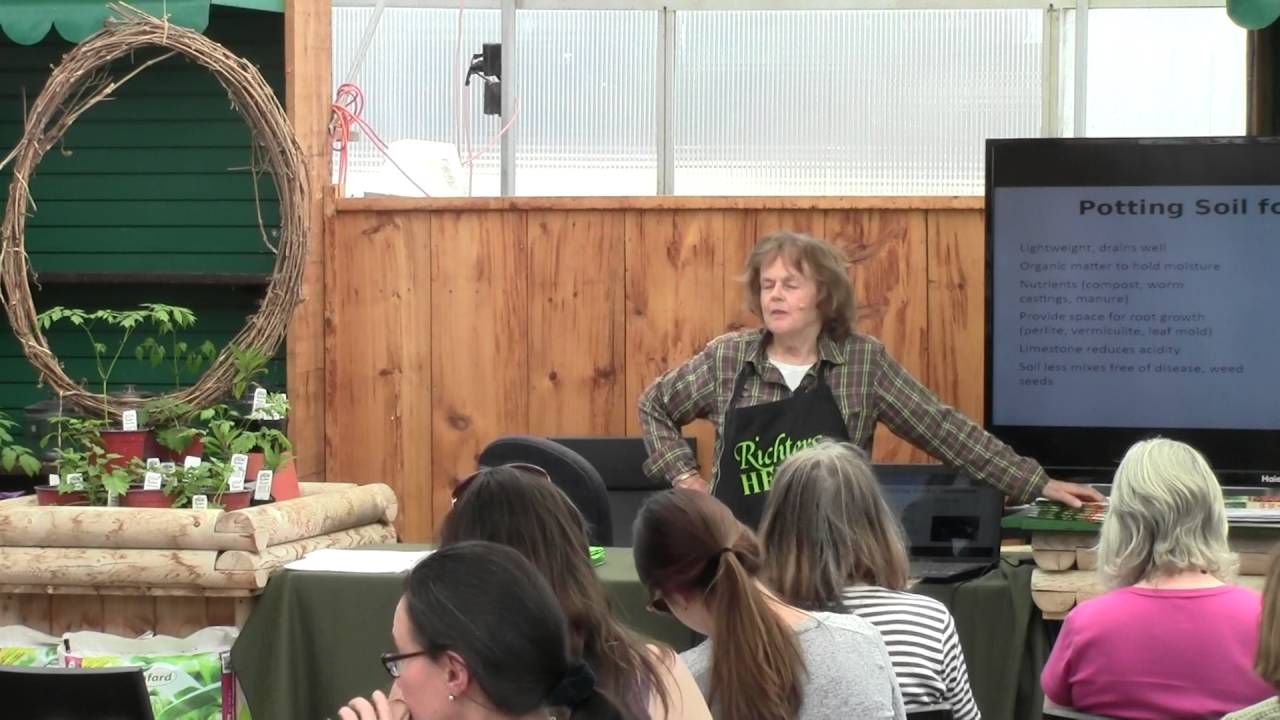 How to Plan and Plant Your Herb Garden - YouTube