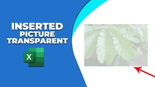 How to make an inserted picture transparent in excel