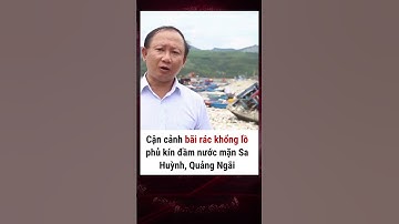 Rùng mình với hàng tấn rác thải chất đống ở đầm nước mặn Sa Huỳnh #plxhvn #moitruong #moitruongxanh