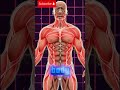 What Happens Inside Your Body After Drinking Beetroot Juice? 🧠❤️ 3D Animation