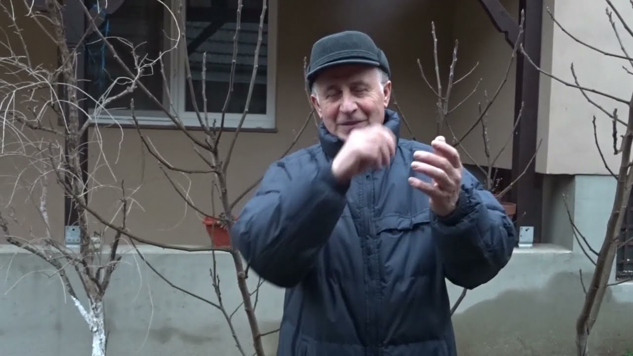 Doar așa scapi de mușchi și licheni