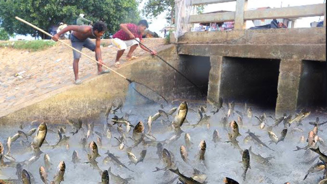 Amazing Fishing Videos |Traditional Fishing Video In Cambodia 2024#21