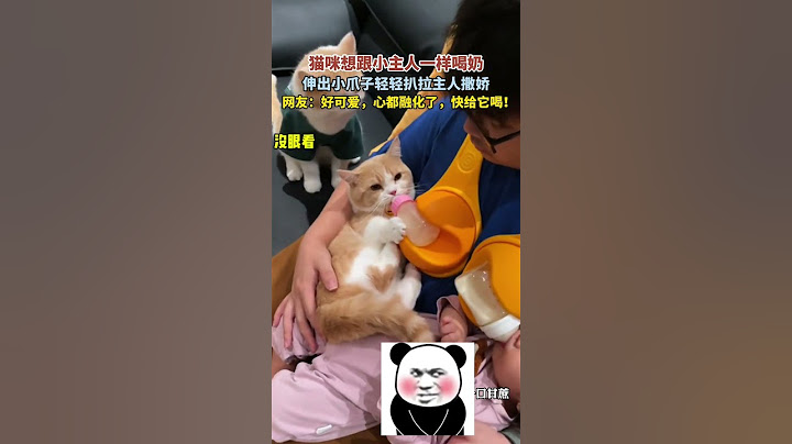猫咪想喝奶，伸出小爪子轻轻扒拉主人撒娇， 网友：好可爱，心都融化了，快给它喝！ #cat #搞笑 #funny #cute #萌寵