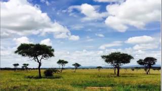 Zoom Vacations Gay Group Tour to Rwanda