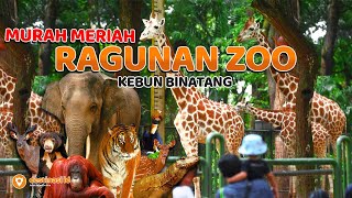 MURAH MERIAH ! Wisata Kebun Binatang Ragunan Zoo | Jakarta Selatan #destinasiid