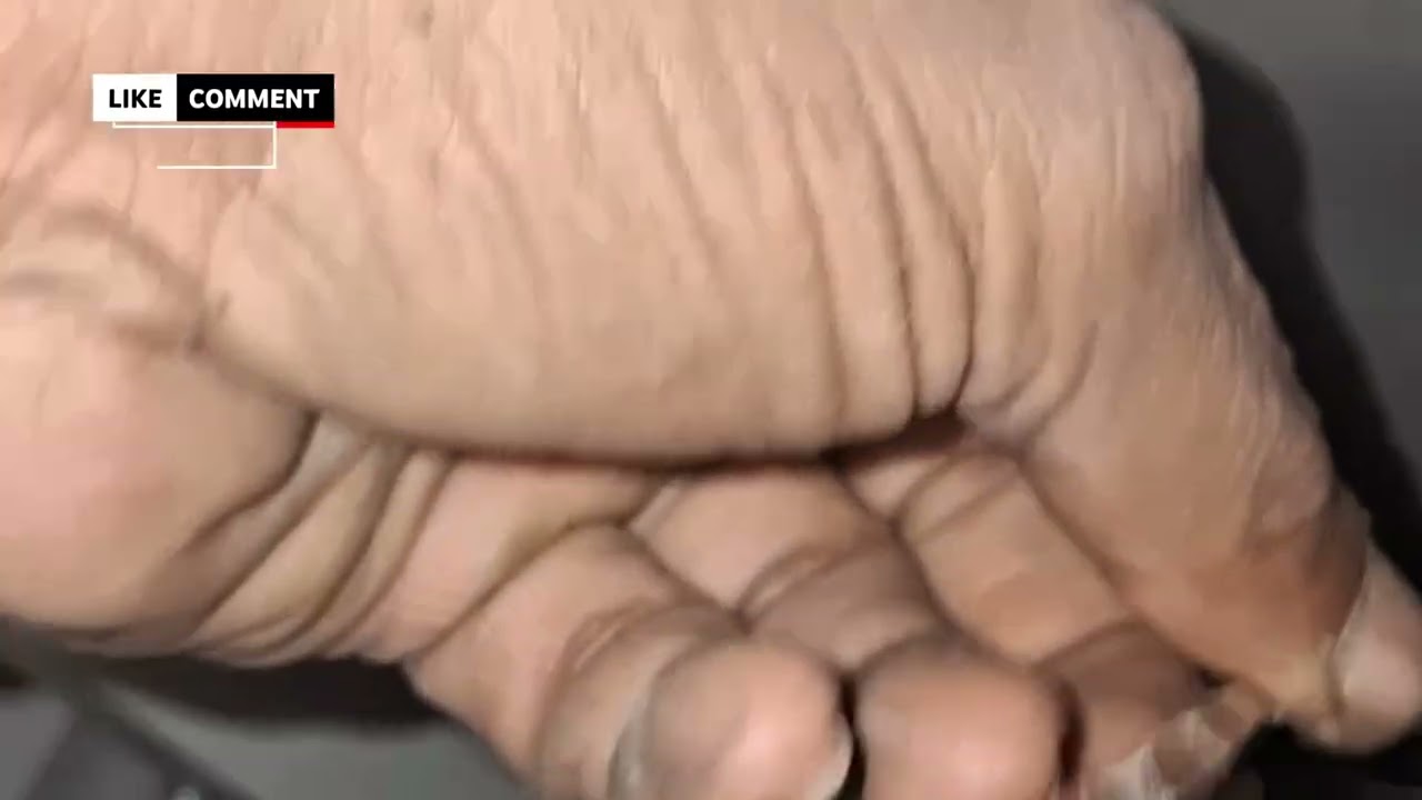 Embroidery Machine Cutter Noise Fix: Ye sabse zyada search hone wala keyword hai.