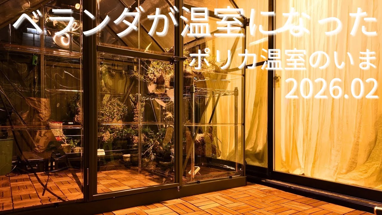 ベアルートパキプスの環境づくり｜ポリカ温室を導入