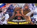  coldest animal market on earth yakutsk   russia ep13