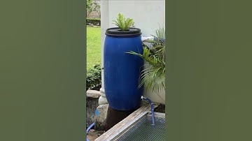 GENIUS Pond Filter💡|| DIY BOG Filter💧|| #diy #filter #ponds #aquascape #koi  #koipond #youtubeshorts