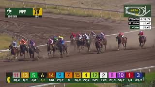 Vidéo de la course PMU PREMIO MARCHELO