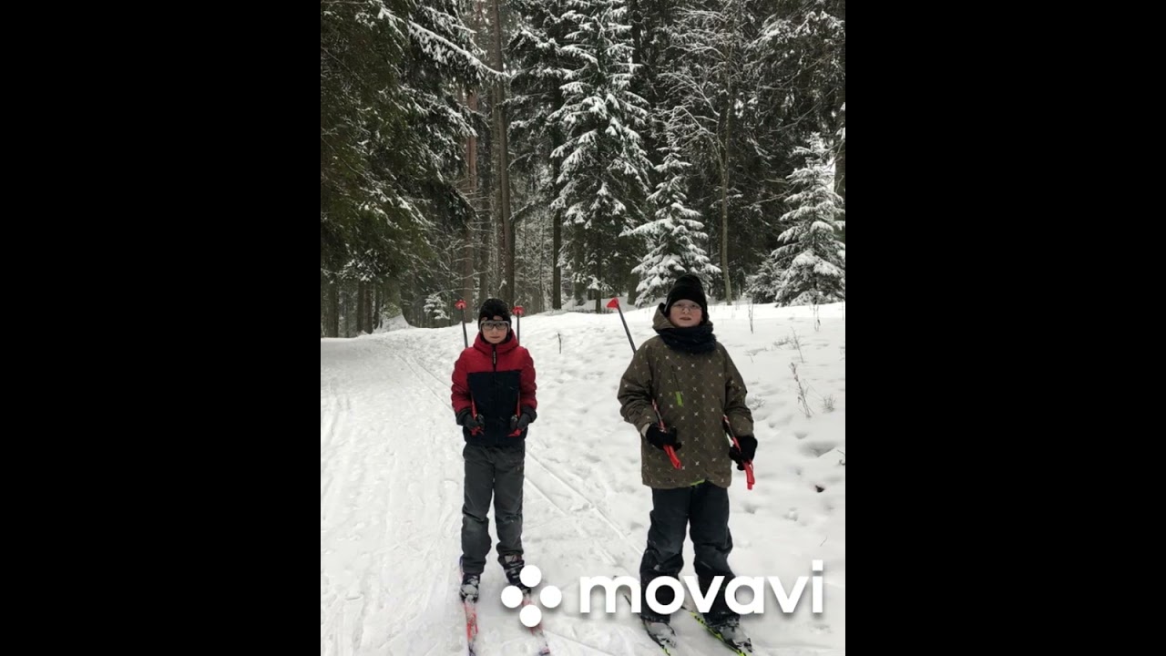 в лесу на лыжах - YouTube