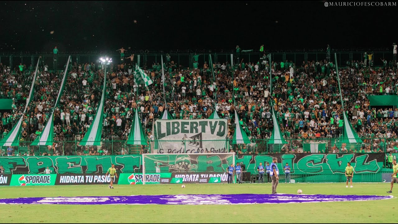 Coros Frente Radical Verde | Deportivo Cali 1-2 D. Tolima | Santiago Del Cali