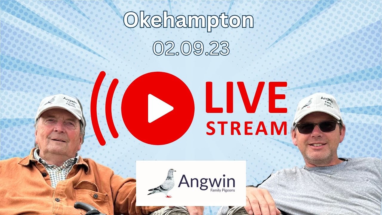 Angwin Family Pigeons is going live! Pigeon Racing from Okehampton 83 ...