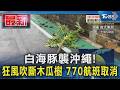 白海豚強襲沖繩! 狂風攔腰折斷木瓜樹 「770航班取消」亂盂蘭盆返鄉｜TVBS新聞 @TVBSNEWS01
