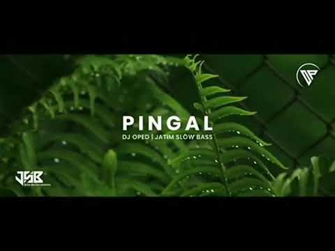 DJ pingal/jatim slow bass,enak untuk bersantai