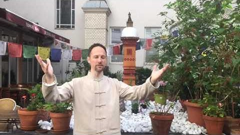 Soul Healing Miracles Teacher and Tao Source Communicator Training Programs - Soul Power Institute