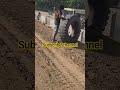 hydra puncture#like #subscribe #viral
