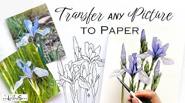 🌟Top 4 BEST Ways to Transfer ANY Image, Drawing, or Outlines onto Watercolor Paper for Painting!