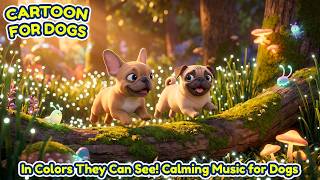 Cartoon for Dogs 🐶🏠 Animated Dog TV 🎵 Peaceful Music for Dogs 💙 Calm Nervous Dogs &amp; Relax