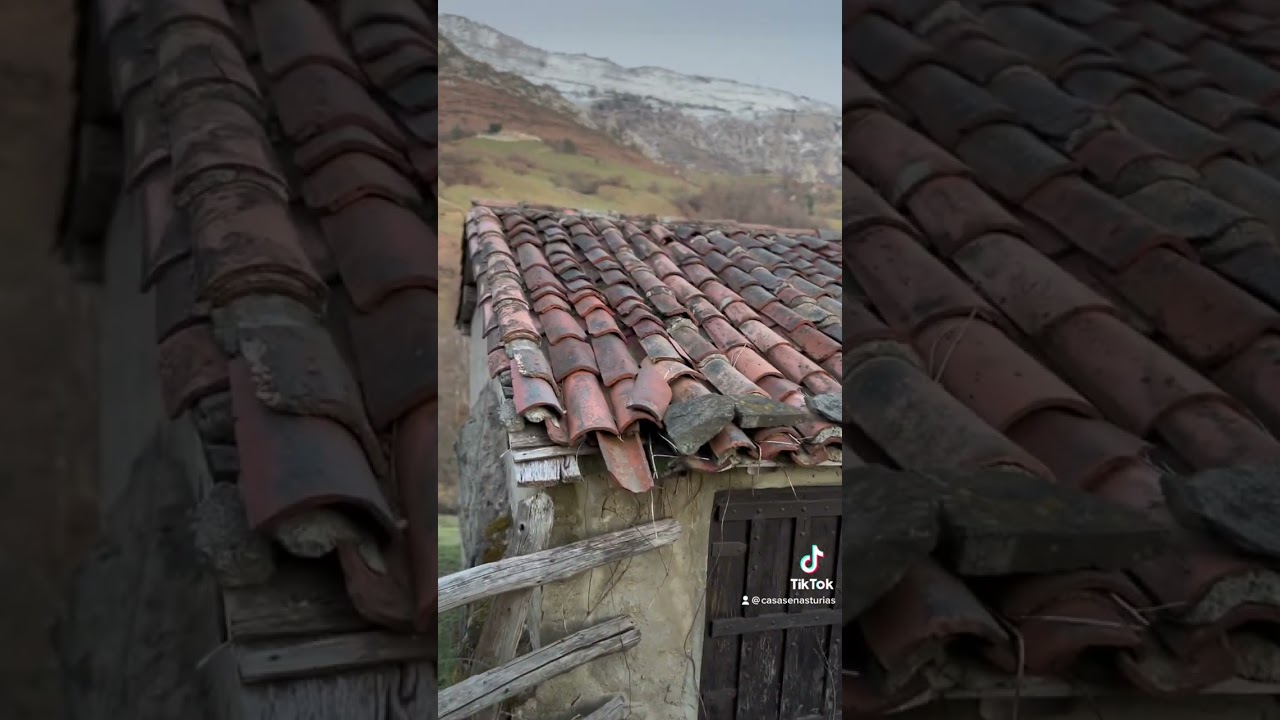 Finca de 22.000 m2 con Fuente cuadra y cabaña en Asturias oferta por 22.000 euros