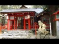 願いが叶う？椿大神社別宮の椿岸神社「かなえ滝」