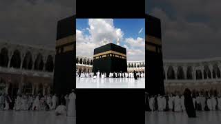 beautiful #duet #love#islam#islamic#biral#biralvideo#vido#bautiful#best#islamicvideo