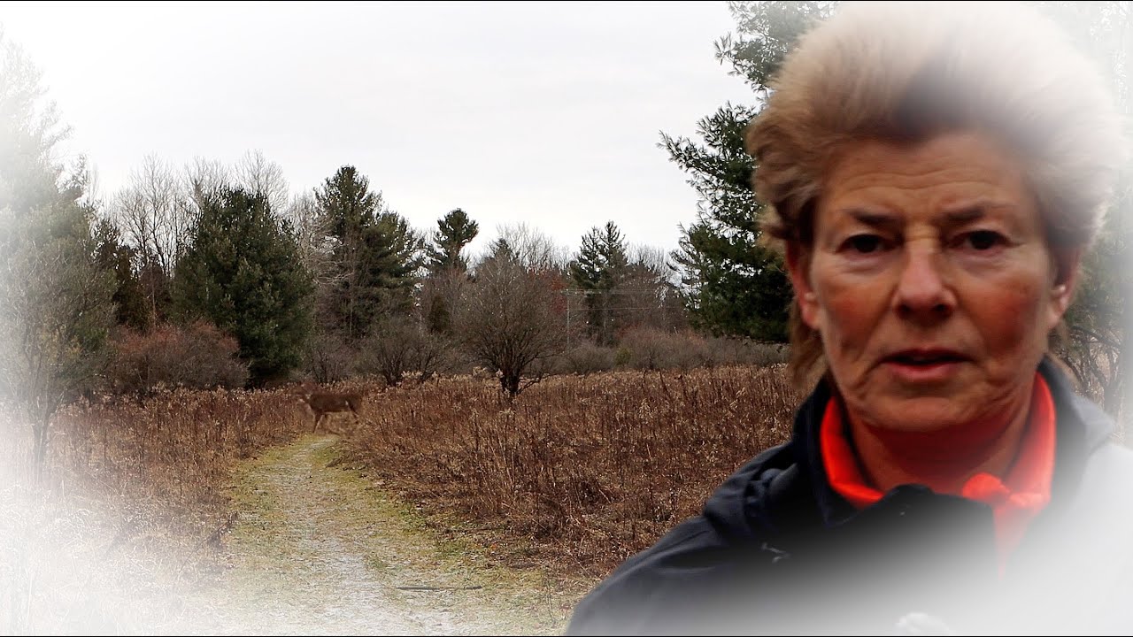 Wildlife Was Everywhere Plus Top 10 Adventure Book Reviews from 2024