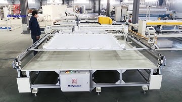 Richpeace Single Head Quilting Machine with Auto Frame Changer