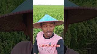 perawatan extra #algoritma