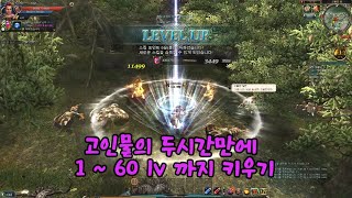 c9 _ 2023 09 17 고인물의 1~60 lv 까지 두시간만에 키우기