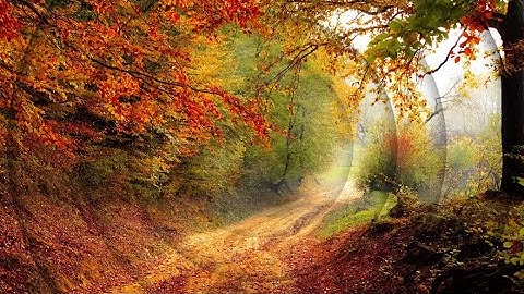 Awesome 3D Cinematic Parallax Tutorial for Davinci Resolve 16