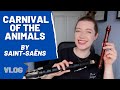'Carnival of the Animals' by Saint-Saëns on RECORDER? | Team Recorder