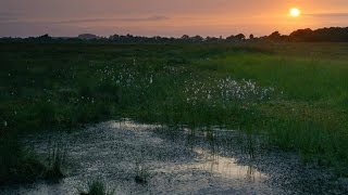 The Unnerving Evidence of Sacrifice in These Irish Bogs