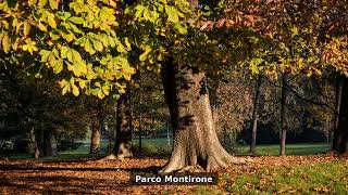 Abano Terme, Italy Top 9 Places To Visit Travel Guide
