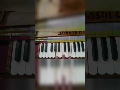 Part 2 | Chipkali (chords) | Hare Krishna Kirtan on Harmonium — Watch Tune14 full tutorial #Shorts