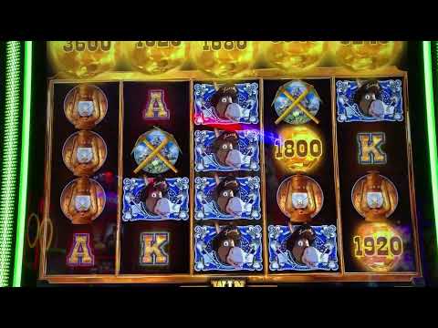 Majestic Wild Buffalo | 6 MINUTOS DE zEkO DOMINANDO LA RULETA