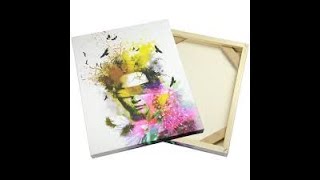 GOframe 1500 How To
