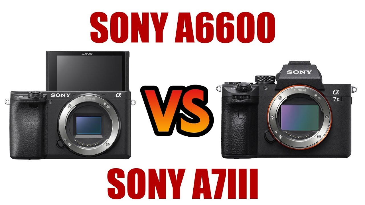 a7s ii a6600 launch date