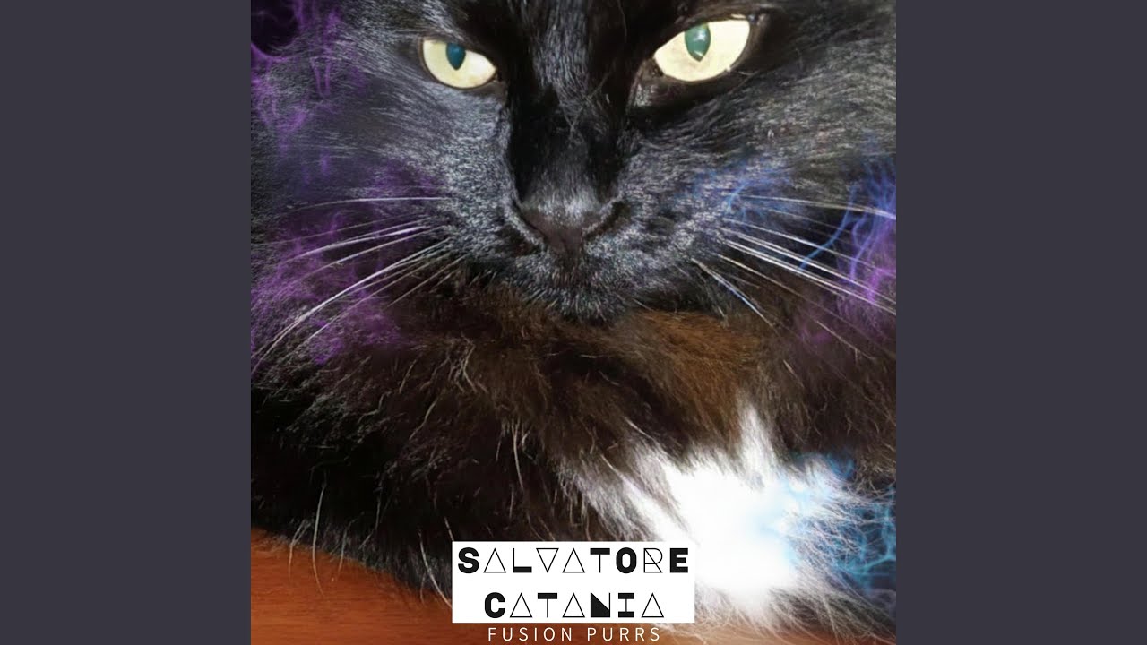 Fusion Purrs