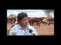 Programa rio4agro n879 r ganadera del sur