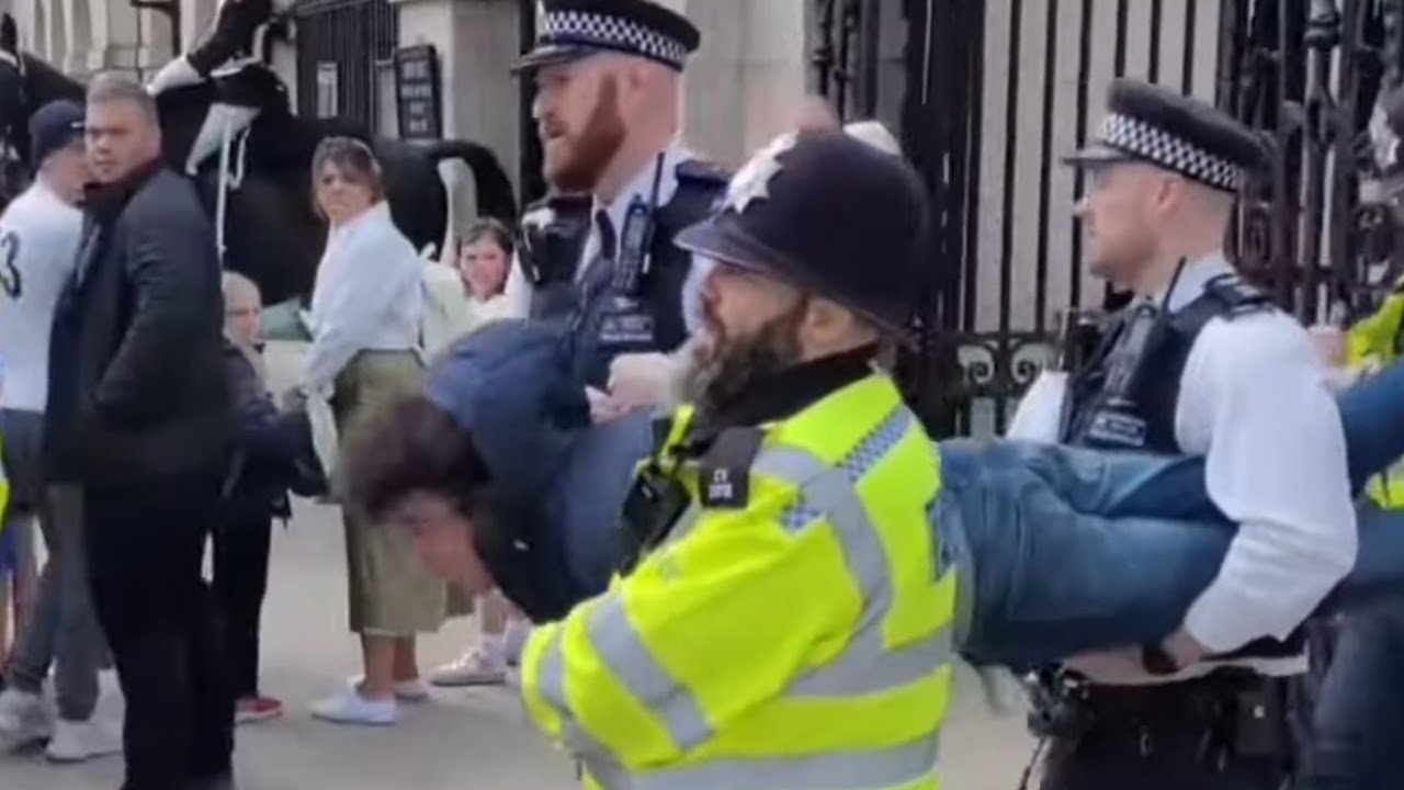WHEN POLICE CONFRONT TOURIST AT HORSE GUARDS COMPILATION #MODPOLICE